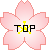 千田小TOP